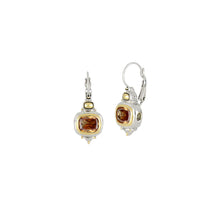 Load image into Gallery viewer, French Wire Earrings