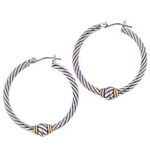 Load image into Gallery viewer, Twisted Wire Hoop Earrings