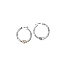 Load image into Gallery viewer, Twisted Wire Hoop Earrings