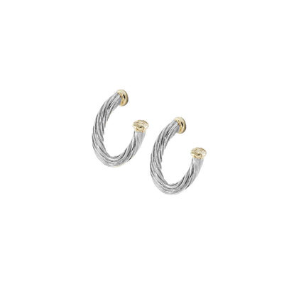 Oval Post Earrings