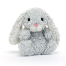 Load image into Gallery viewer, Yummy Silver Bunny