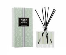 Load image into Gallery viewer, Wild Mint &amp; Eucalyptus Reed Diffuser