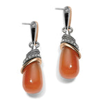 Neptunes Rings Carnelian Teardrop Earrings