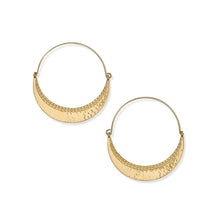 Load image into Gallery viewer, Palm Canyon Large Hoop Earrings